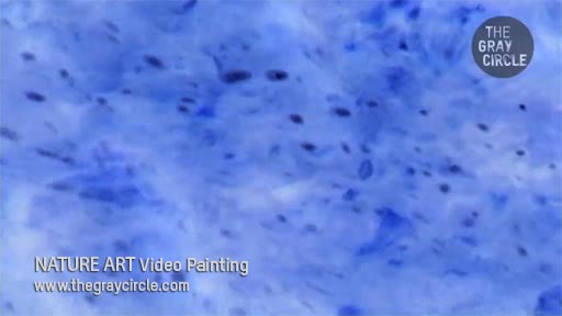 NATURE ART Video Paintings - The Gray Circle 1