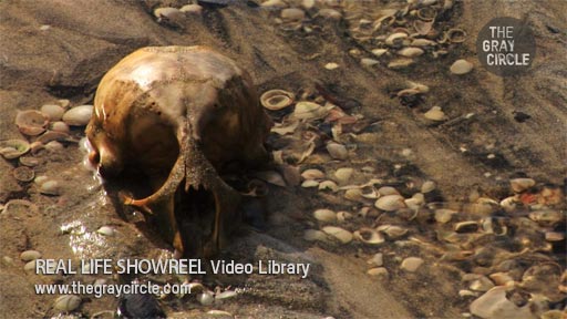 REAL LIFE SHOWREEL Video Library 3