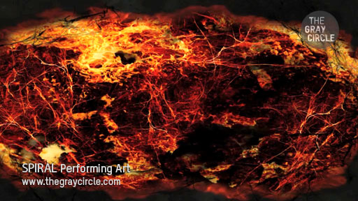 SPIRAL Stage Projections - The Gray Circle 1